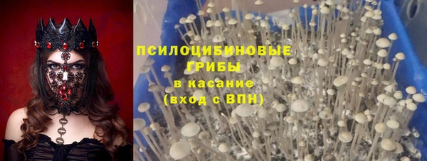 дживик Волосово