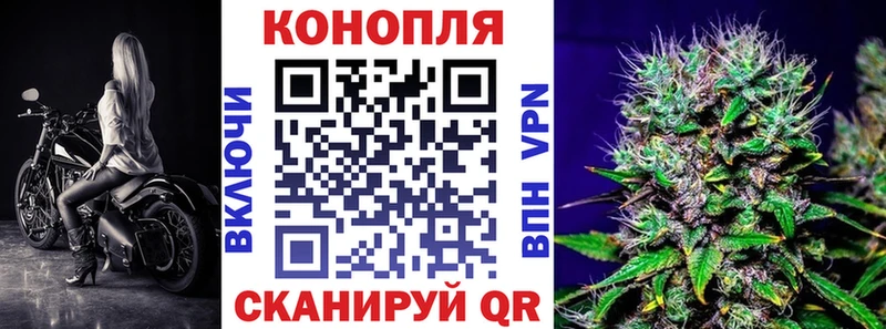Бошки Шишки THC 21%  KRAKEN   Плёс 